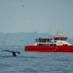 Grónsko: Dobrodružná cesta s profi fotografem