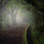 Madeira: Aktivní týden na ostrově