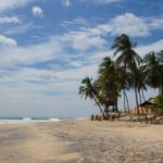 TUK-TUK Challenge | Ostrov lva