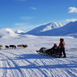 Špicberky: V rytmu psího spřežení a fjordů