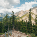 Kanada: Rockies roadtrip s fotografem