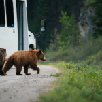 Kanada: Rockies roadtrip s fotografem